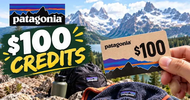 Patagonia Is Giving Out $100 Credits for the 11.2 Million Vote Project - Here's How to Get One